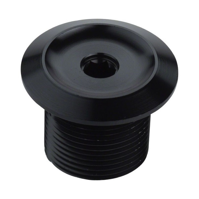 Salt Plus Ex Fork Top Bolt Steel Black M25