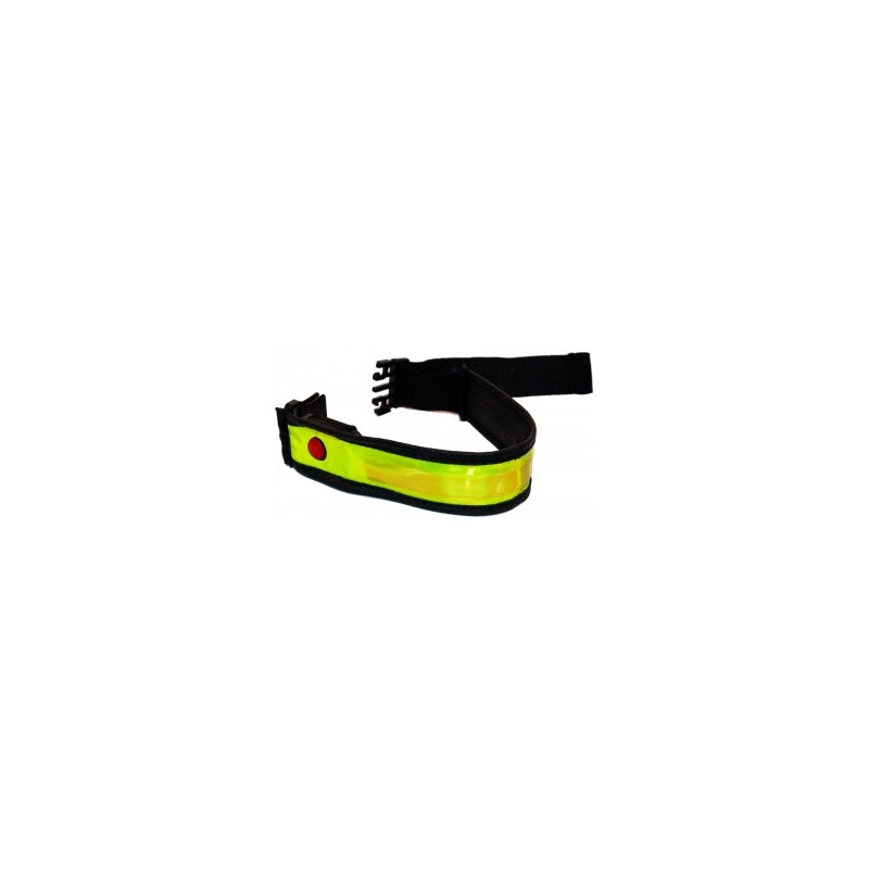 Smart RL353R Arm/Ankle LED Band